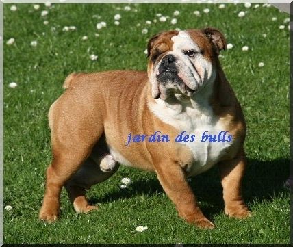Farniente spensierato del Caliborso
